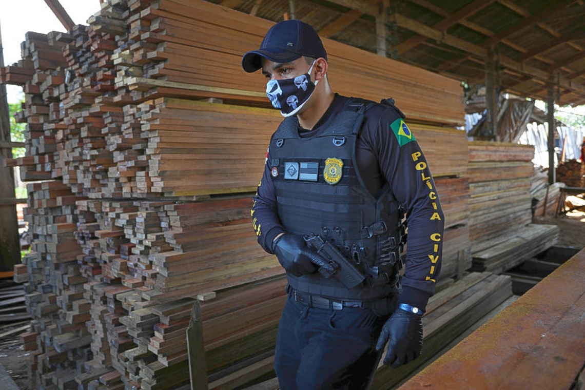 Flush with corruption cash, Brazilian states step up war against deforestation